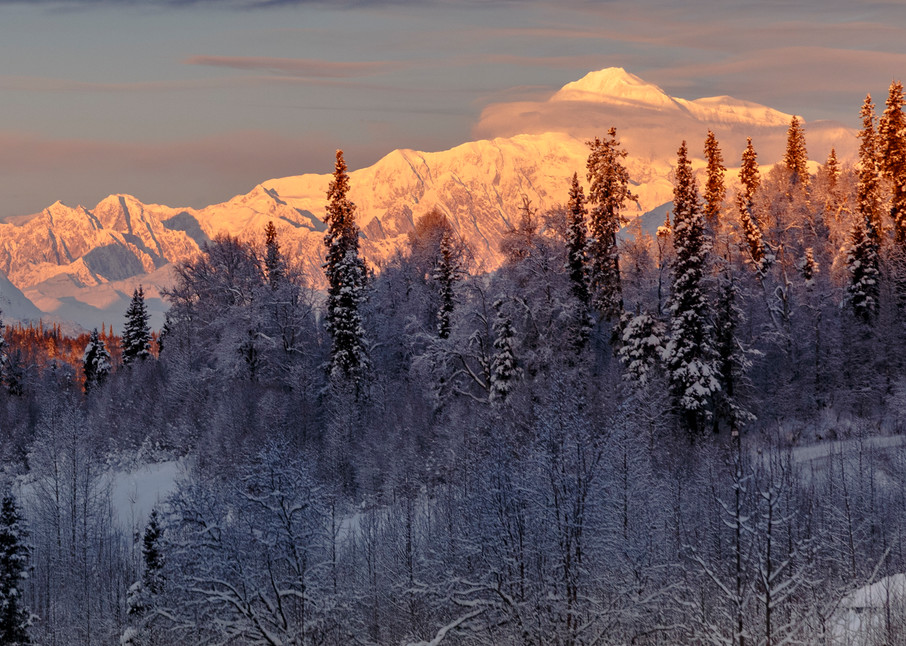 Winter landscape of clearing storm over the south side view of Denali (Mt. Mckinley) and  the Alaska Range and snow-covered forest. Southcentral, Alaska  

Photo by Jeff Schultz/SchultzPhoto.com  (C) 2016  ALL RIGHTS RESVERVED