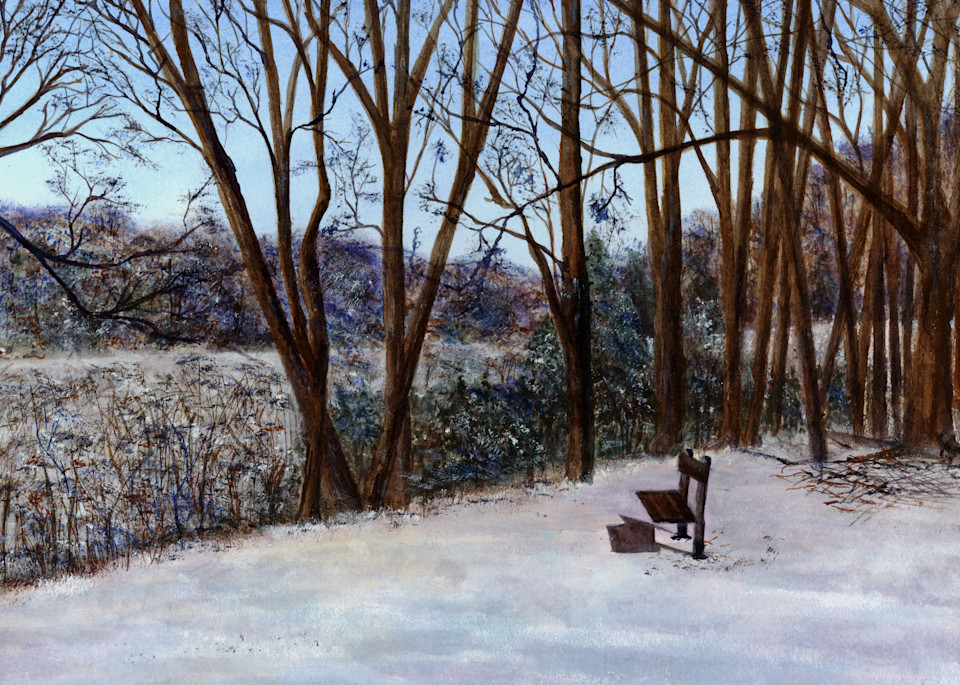 The Bench In The Park  Art | Sharon Bacal - Fine Art
