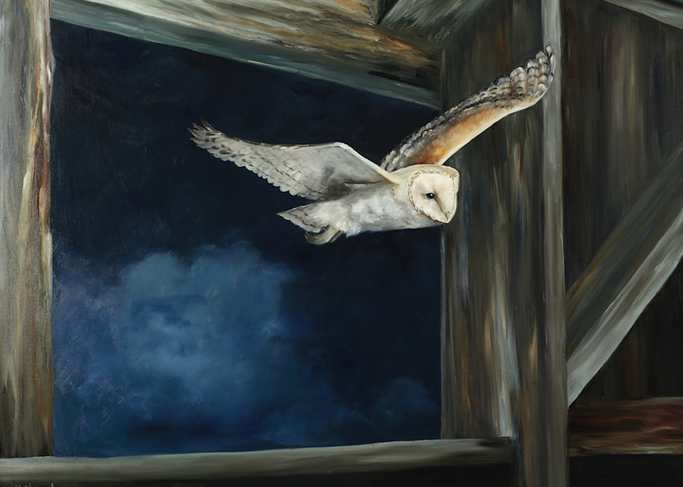 Night Flight Art | Marsha Clements Art