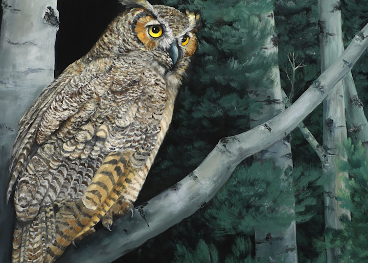 Night Owl Art | Marsha Clements Art