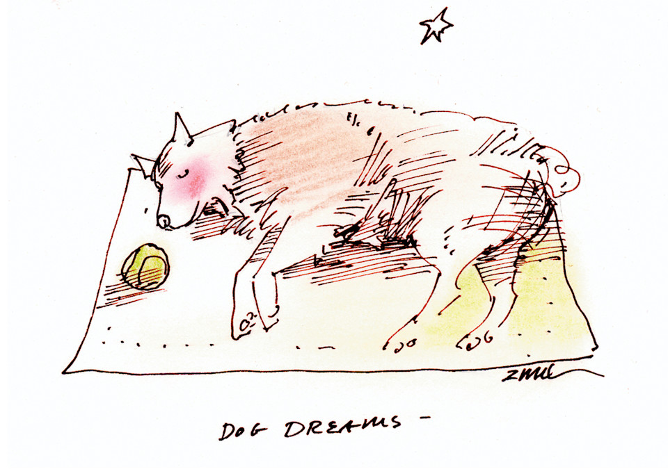 Dog Dreams-greeting cards