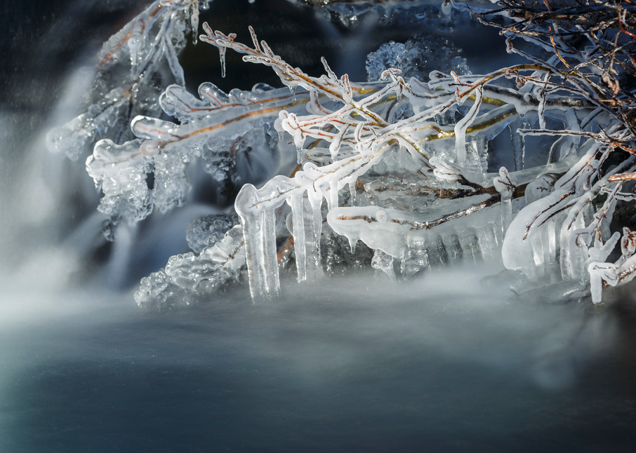 Fall landscape of Campbell Creek flowing with ice covered willow branches.  Chugach State Park in Anchorage, Alaska

Photo by Jeff Schultz/SchultzPhoto.com  (C) 2016  ALL RIGHTS RESVERVED