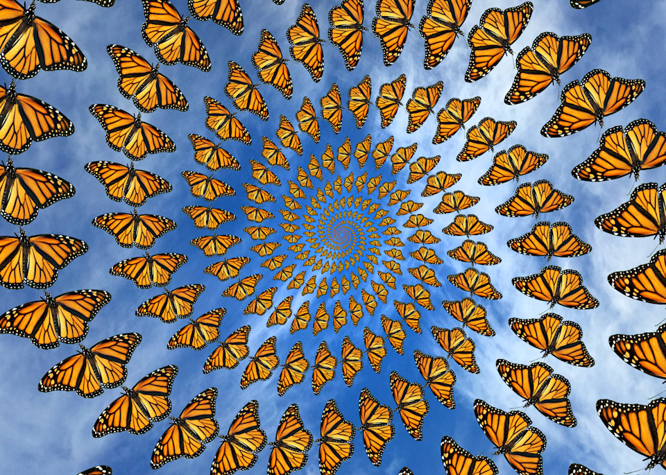 Monarch Migration Art | geometricphotographica
