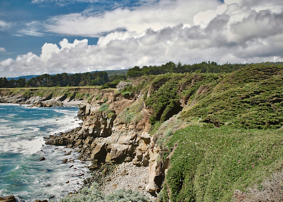 CA Coastal Bluff: Landscape Photo Prints/Jim Grossman Photography