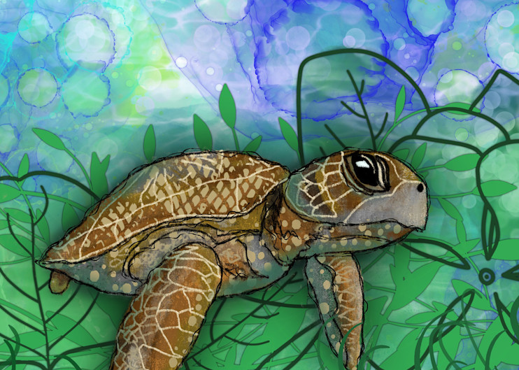 Sea Turtle Art | Lynne Medsker Art & Photography, LLC