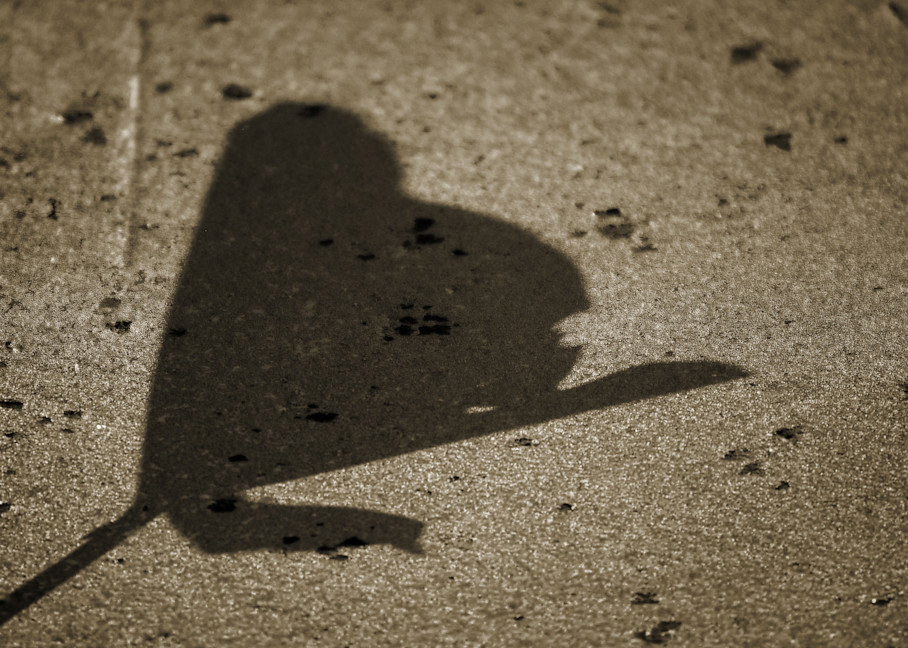 Shadow On Duckweed  Photography Art | Lori Ballard Photography