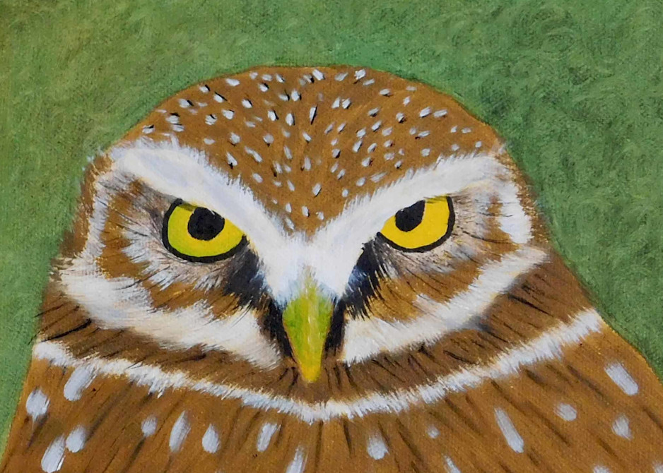 Owl Art | cherylkarlfineartist.com