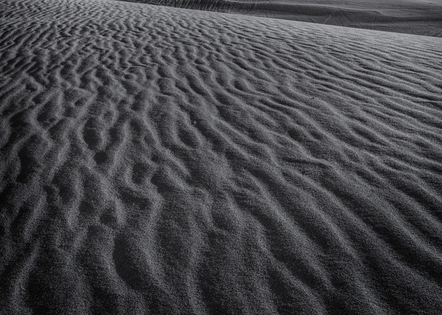 Lines in the Sand | Jarrod Ames Photography