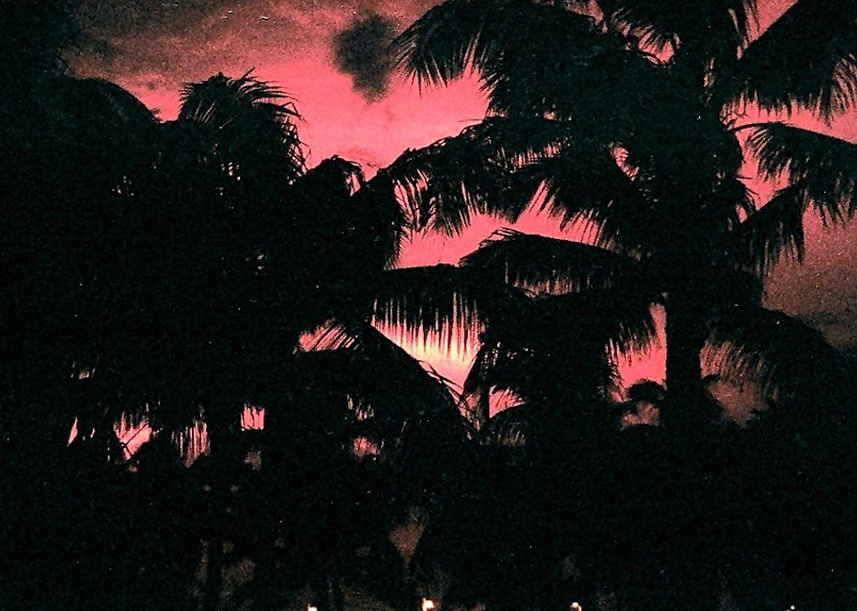 Miami Sunset On The Biscayne Art | Suzanne Berthier Art LLC