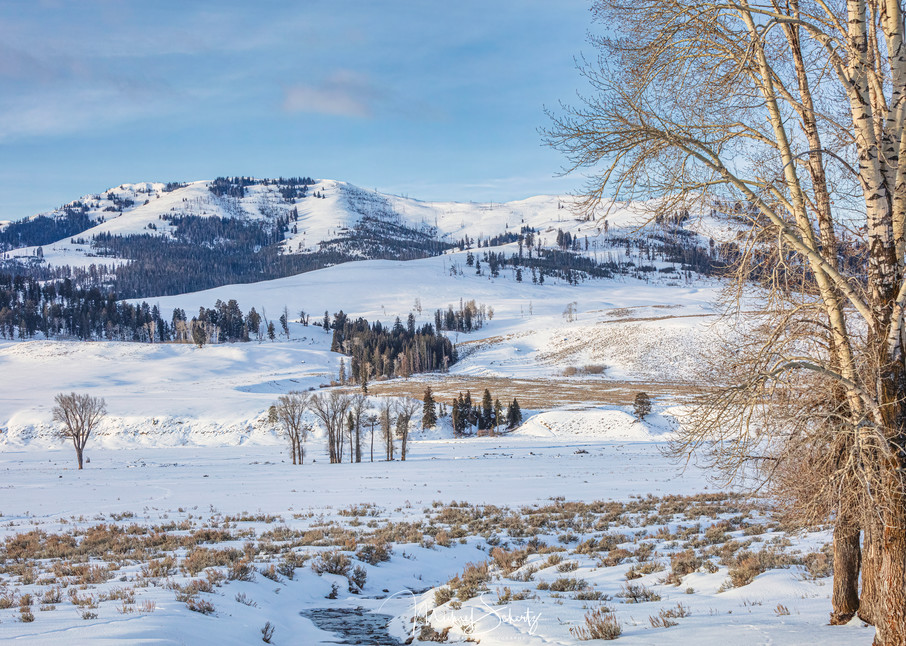 Lamar Valley In Morning Photography Art | dynamicearthphotos