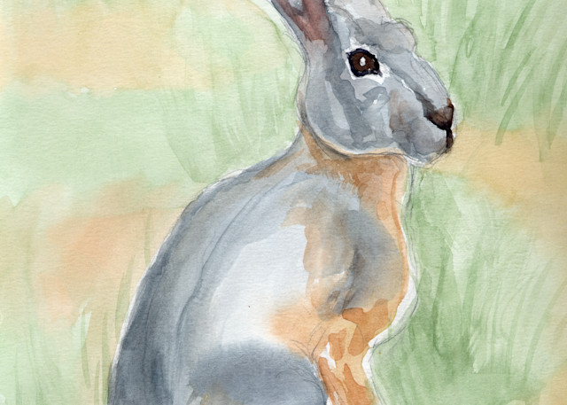 Jack Rabbit Art | Jeanine Colini Design Art