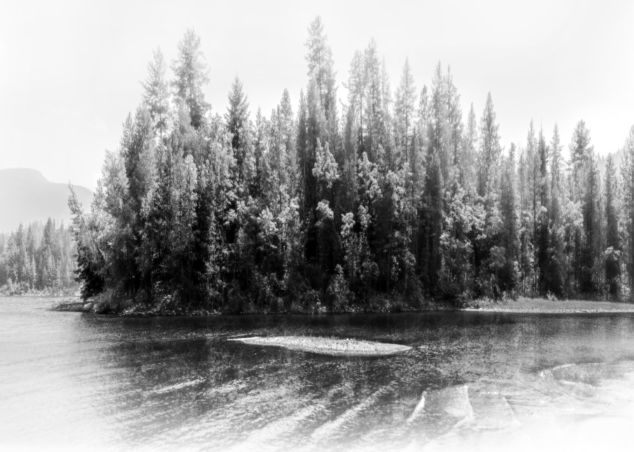 Summer Shade Art | James Alfred Friesen
