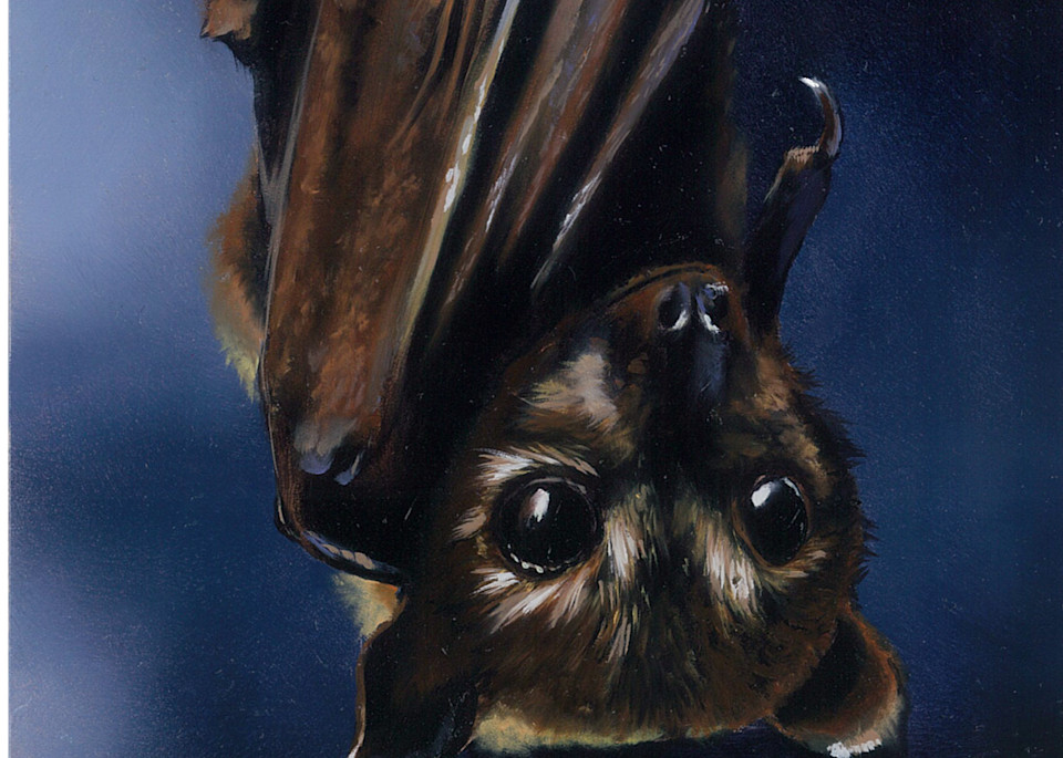 Bat Night Art | Wildlife Creations