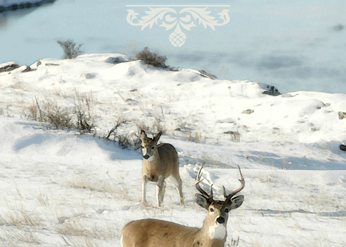 Perfect Peace Deer in Snow Art