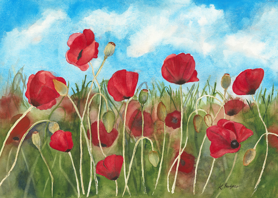 Poppies For Our Veterans Art | Katherine Rodgers Fine Art