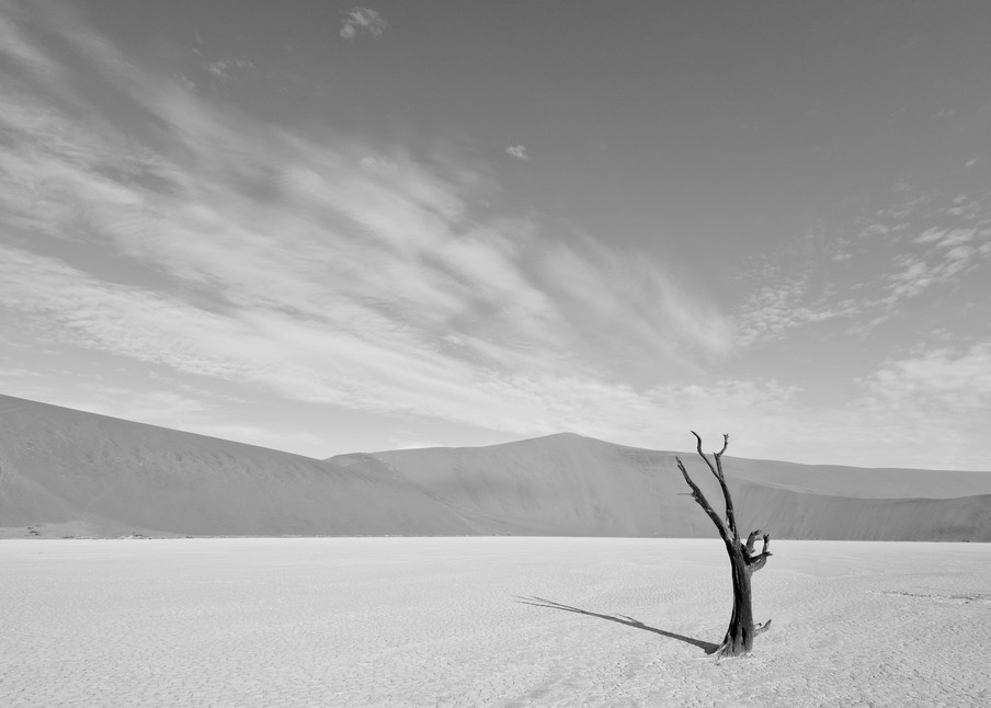 Beautiful desert landscape in black & white.