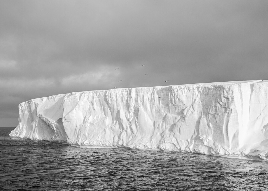 Black and White- Icebergs of Antarctica | Nicki Geigert, Photographer