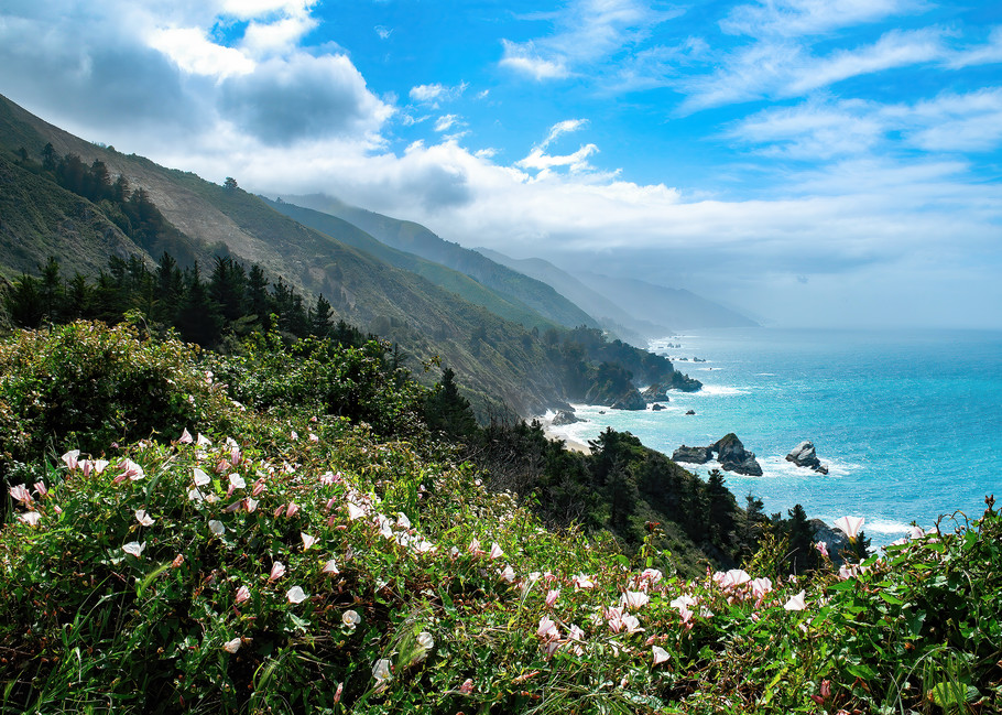 Landscape Prints: California coastal bluffs and flowers: Jim Grossman Photos