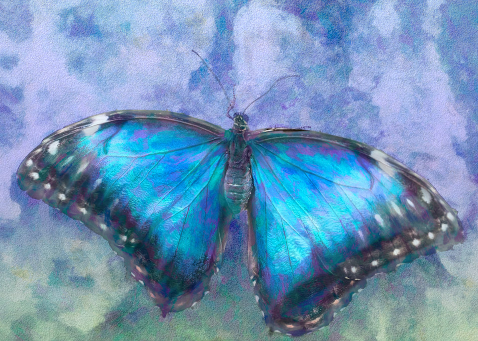 Fairy Blue Butterfly Art | Light Pixie Studio