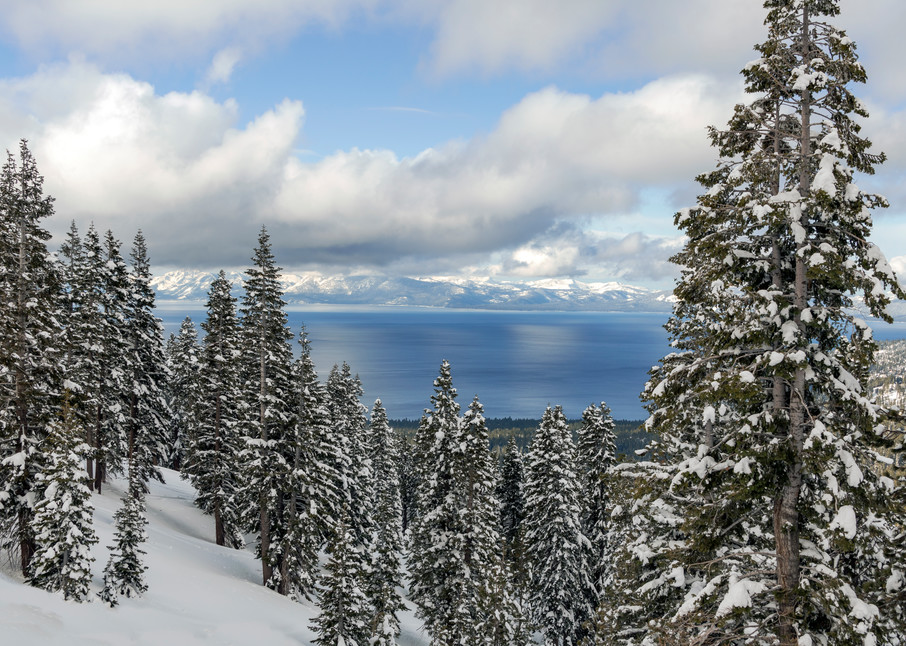 Lake Tahoe Perfection Photography Art | Great Wildlife Photos, LLC