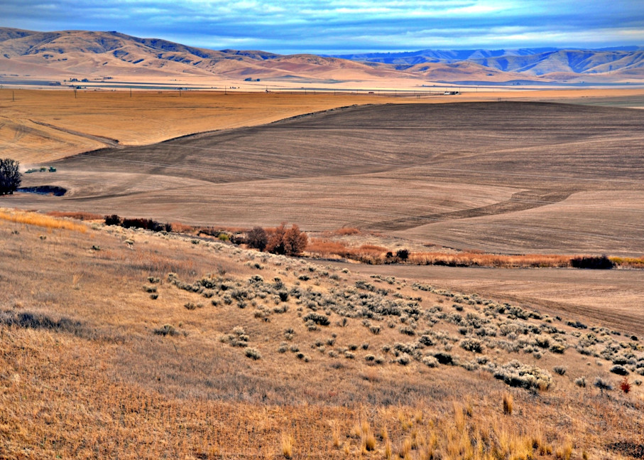 Rolling Hills In Montana Photography Art | KAT MILLER-PHOTO ARTIST