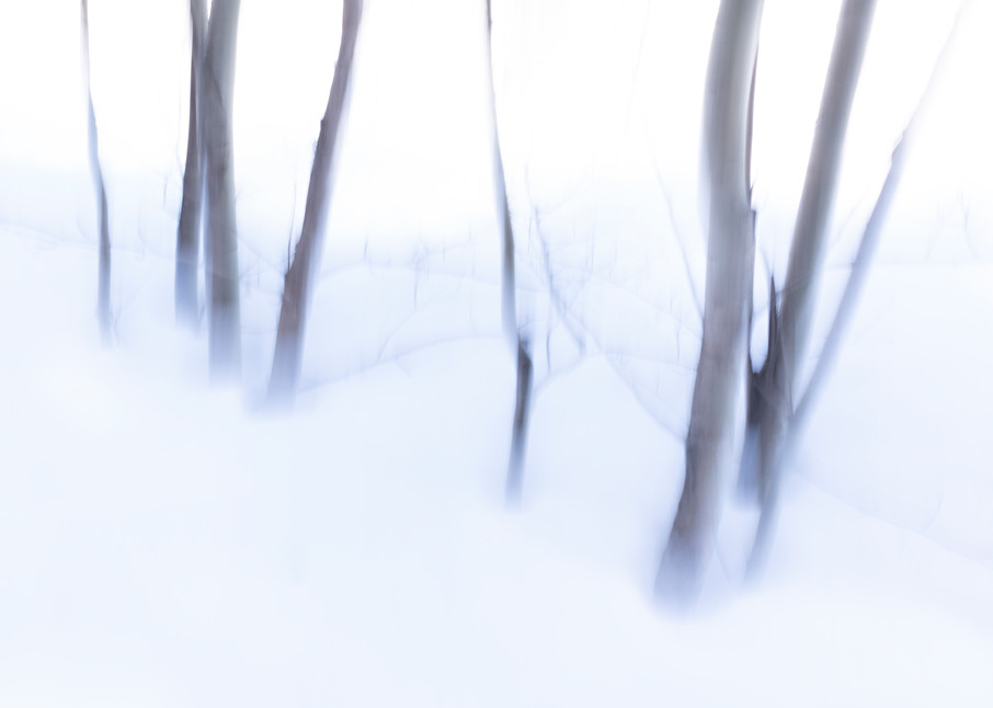 Winter's Last Tango | Terrill Bodner Photographic Art