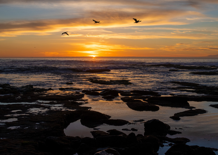 Sunset & 3 Birds Over The Tide Pools At Casa South, La Jolla 01.02.21 Photography Art | Pacific Coast Photo
