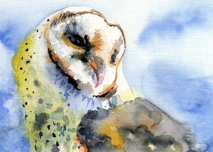 Superb Owl  Art | Machalarts Watercolor Studio
