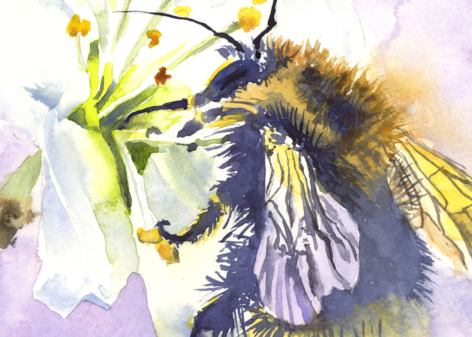 Mr. Bee Art | Machalarts Watercolor Studio