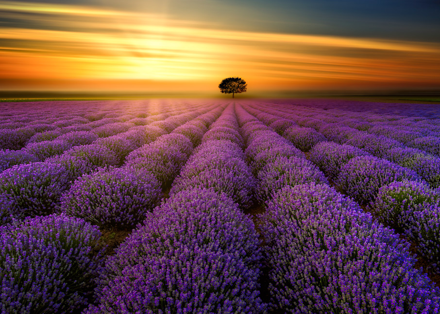 Harv Greenberg Photography - Sunset in Provence