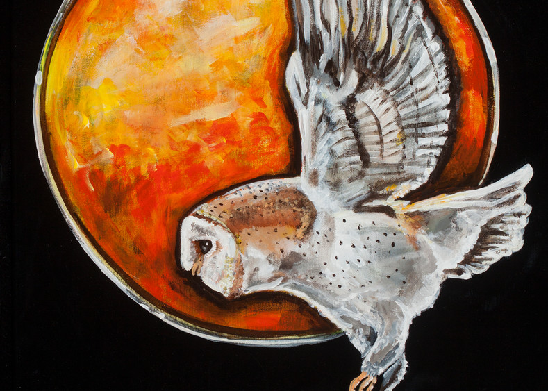 Owl Moon Print Art | Sarah E. McCord- Fine Artist