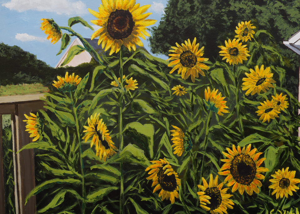 Sunflowers In Garden Print