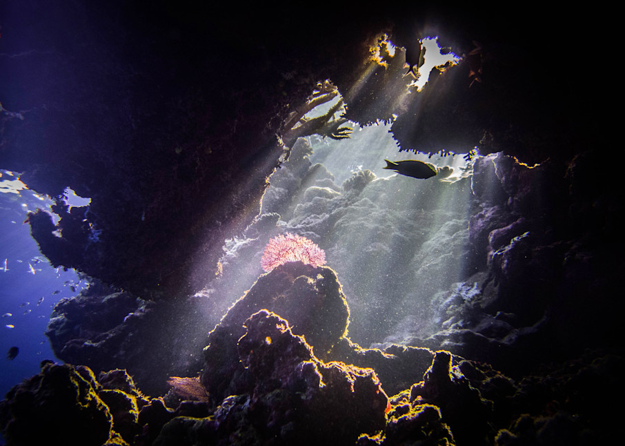 Sunlight  Through Ocean Hole Art | Dappled Light Gallery