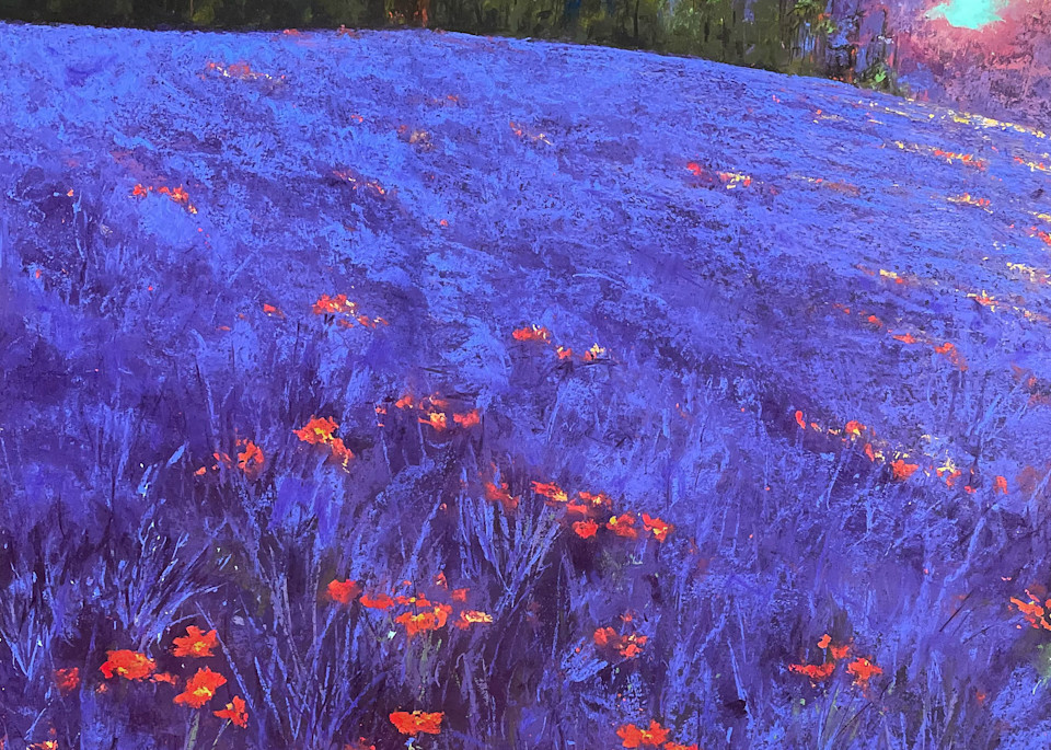 Wild Lavender Art | Kurt A. Weiser Fine Art