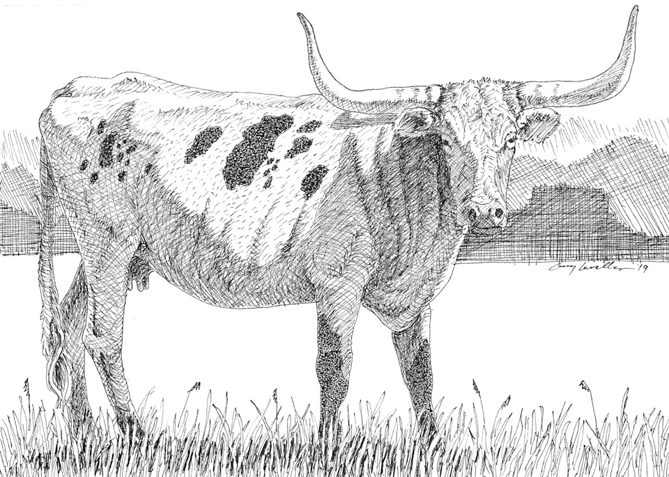 Longhorn Cow 5 Art | Greg Lewallen