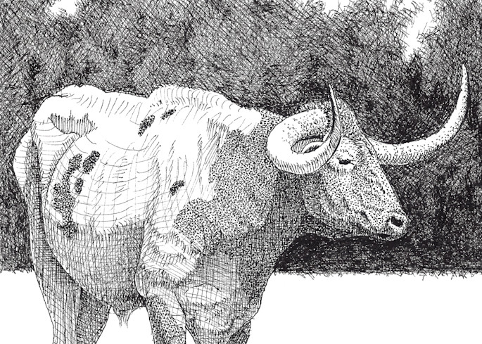 Longhorn Cow 4 Art | Greg Lewallen