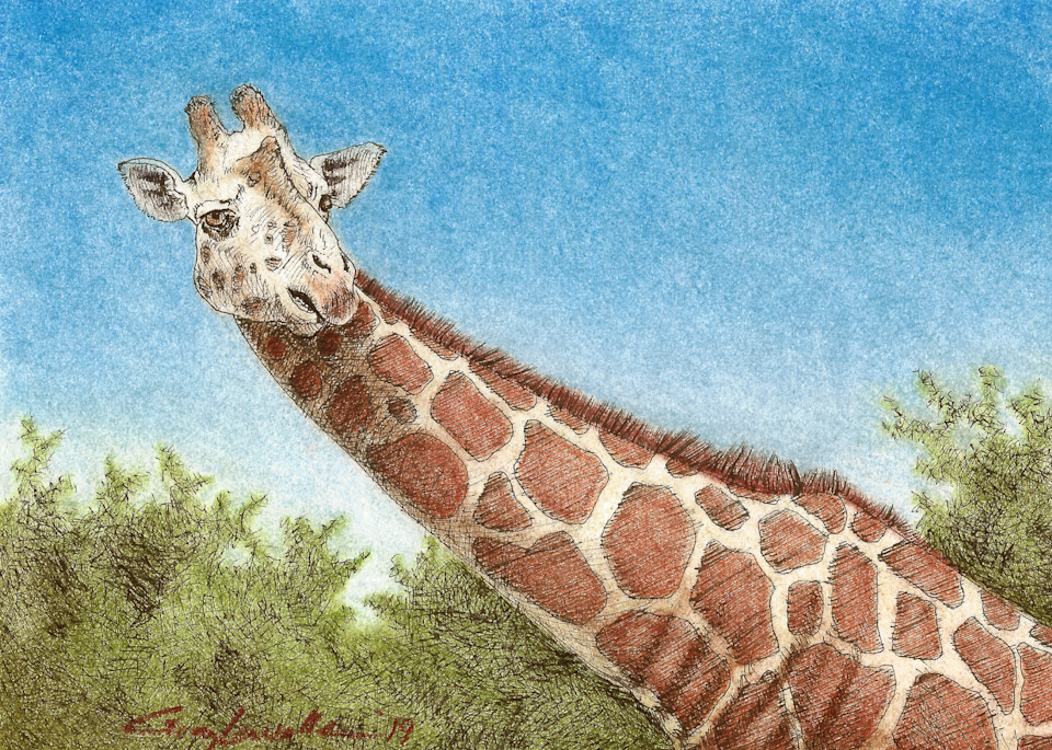 Giraffe 2 Art | Greg Lewallen