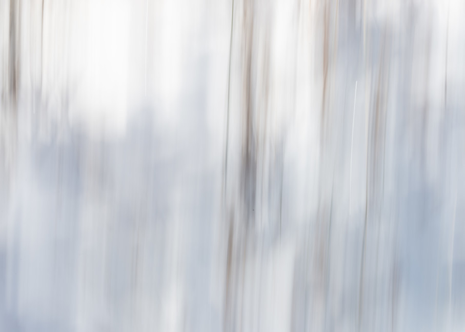 Winter Forest Vision Photography Art | matt lancaster art