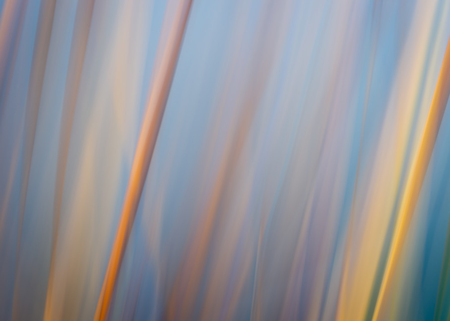 Rainbow Of Grasses Photography Art | matt lancaster art