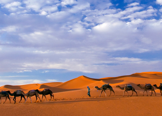Morocco I Sahara Caravan Photography Art | Brian McGilloway Photography