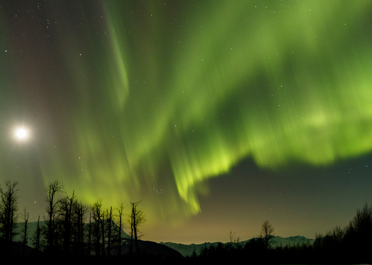 Winter landscape of Aurora Borealis (Northern Lights) light up the sky over the Chugach Mountains in Portage River Valley in Southcentral, Alaska

Photo by Jeff Schultz/  (C) 2021  ALL RIGHTS RESERVED