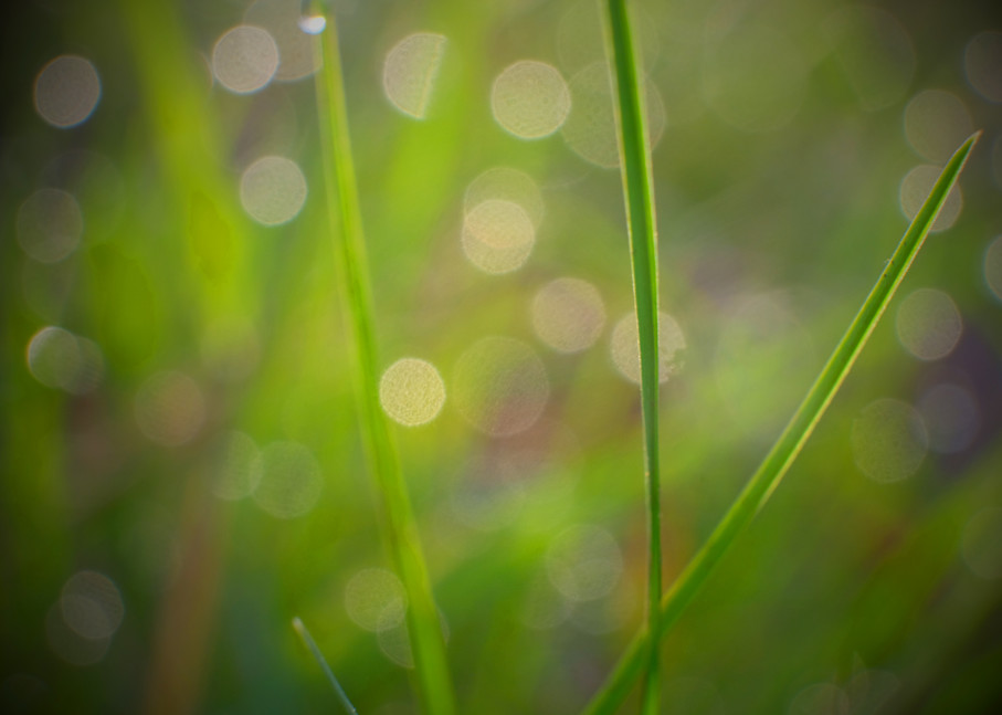 Droplets Of Light Photography Art | Silver Sun Photography