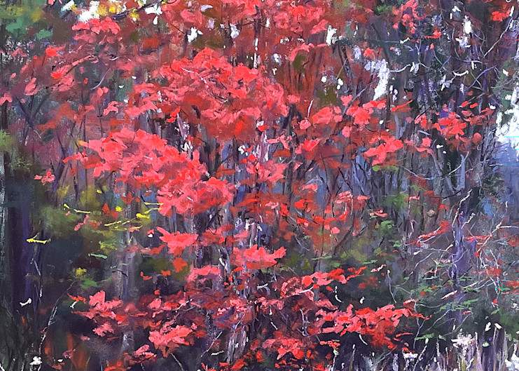 Autumn Maple Art | Kurt A. Weiser Fine Art