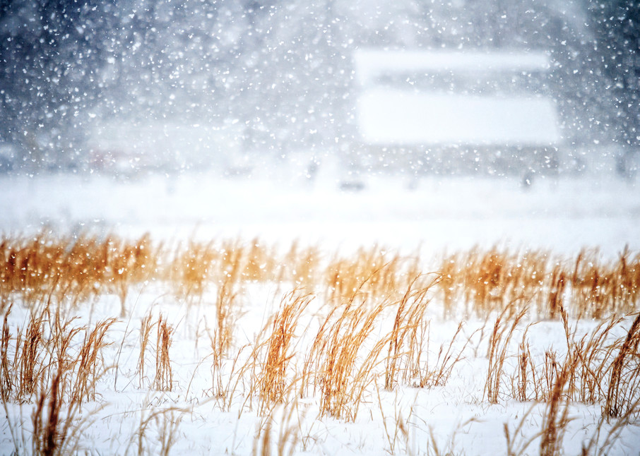 Snowstorm Photography Art | Images of the Ozarks, Photography by Steve Snyder