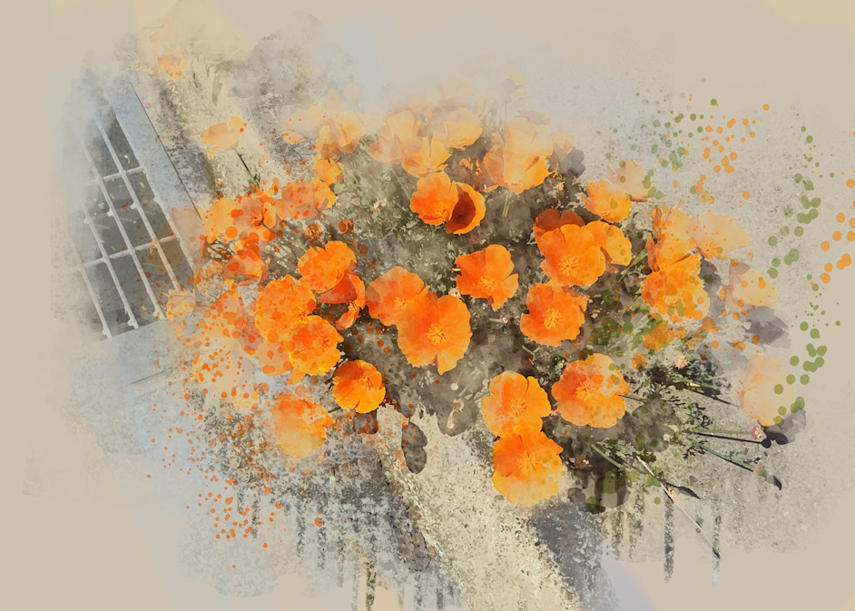 Poppies Springing From The Curb Art | Art from the Soul