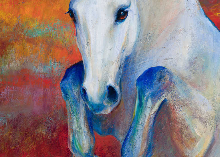 Bold Pony Art | Kimry Jelen Fine Art