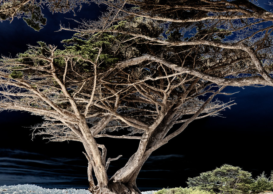 Cypress Carmel Beach #4 Photography Art | Pacific Coast Photo