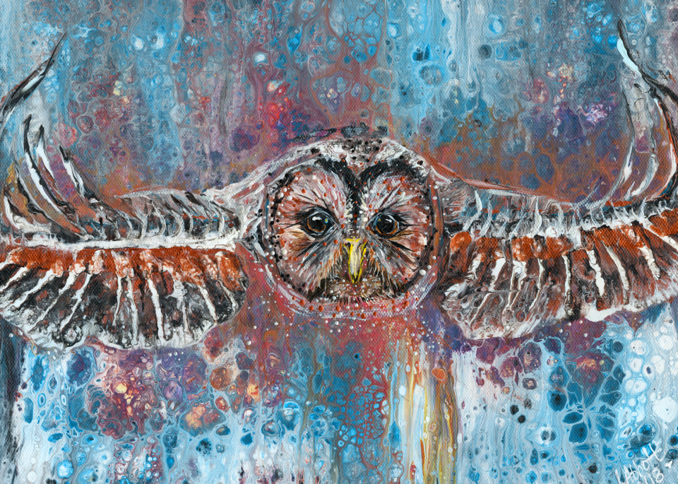 Owl In Flight Art | lisaabbott.art