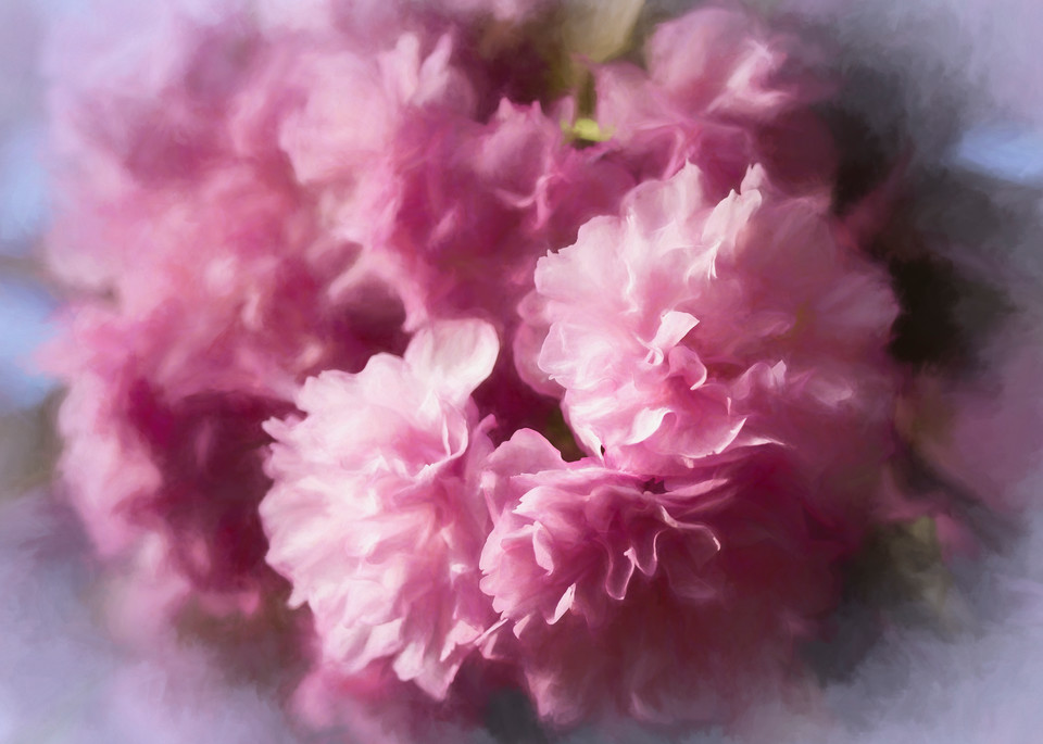 Cherry Blossom Bouquet