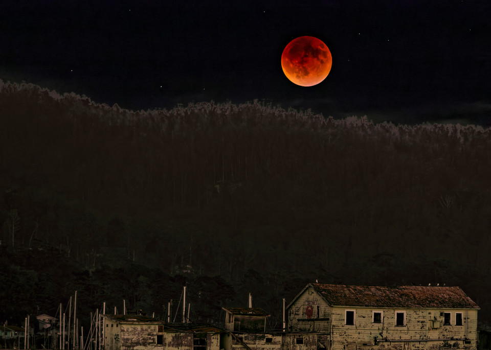 Blood Moon Harbor Photography Art | FocusPro Services, Inc.